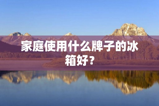 家庭使用什么牌子的冰箱好？