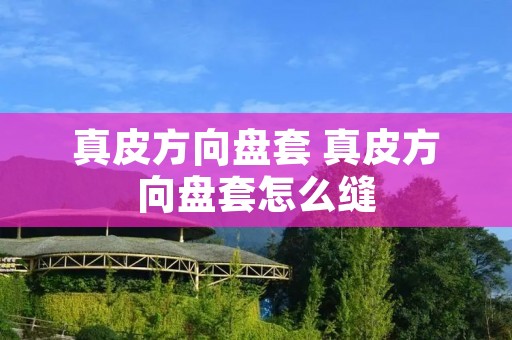 真皮方向盘套 真皮方向盘套怎么缝