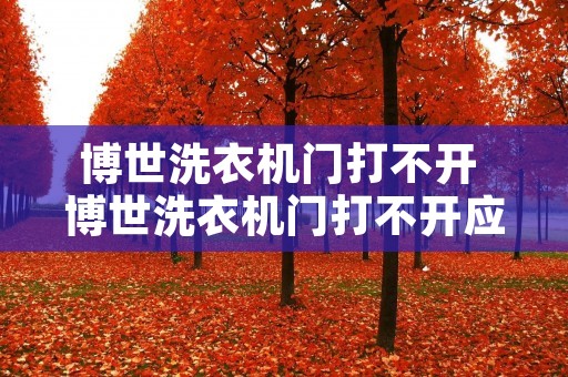 博世洗衣机门打不开 博世洗衣机门打不开应该怎么办