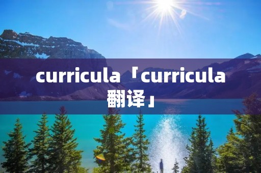 curricula「curricula翻译」