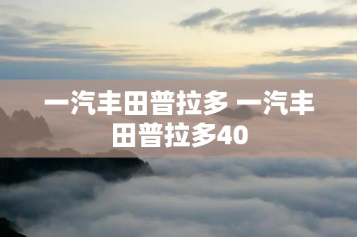 一汽丰田普拉多 一汽丰田普拉多40 一汽丰田普拉多 一汽丰田普拉多40