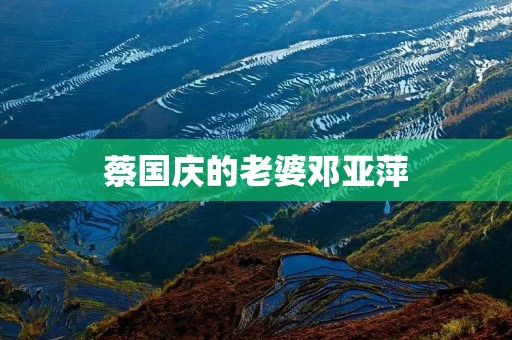 蔡国庆的老婆邓亚萍:一个传奇的女子 蔡国庆的老婆邓亚萍:一个传奇的女子