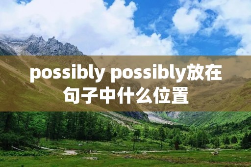 possibly possibly放在句子中什么位置 possibly possibly放在句子中什么位置