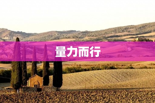 量力而行：如何在生活中避免超负荷