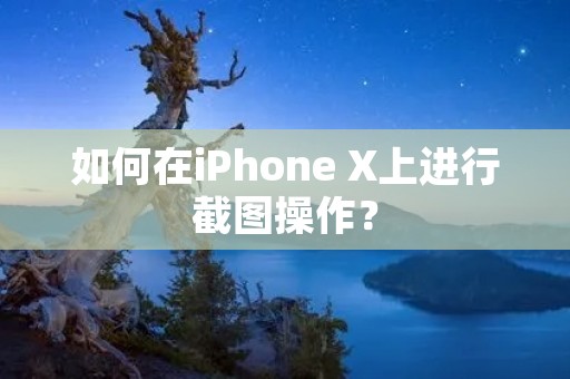 如何在iPhone X上进行截图操作?