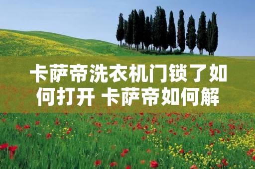 卡萨帝洗衣机门锁了如何打开 卡萨帝如何解锁 卡萨帝洗衣机门锁了如何打开 卡萨帝如何解锁