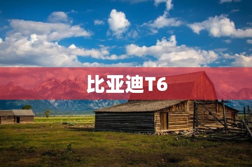 比亚迪T6:颠覆中大型SUV市场的黑马 比亚迪T6:颠覆中大型SUV市场的黑马