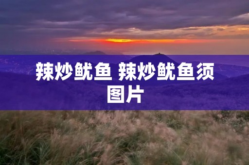 辣炒鱿鱼 辣炒鱿鱼须图片 辣炒鱿鱼 辣炒鱿鱼须图片