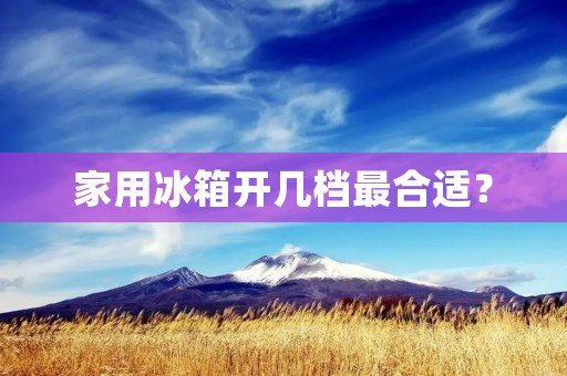 家用冰箱开几档最合适? 家用冰箱开几档最合适?