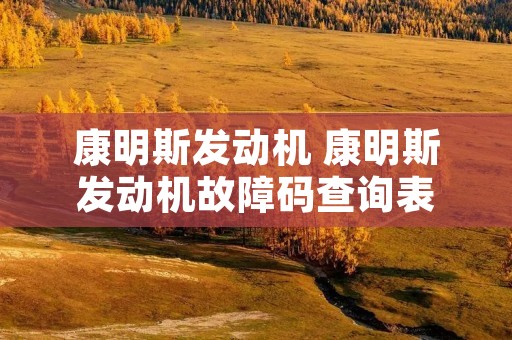 康明斯发动机 康明斯发动机故障码查询表