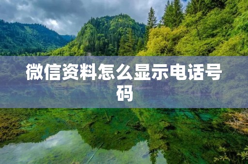 微信资料怎么显示电话号码
