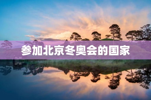 参加北京冬奥会的国家：谁将会亮相？