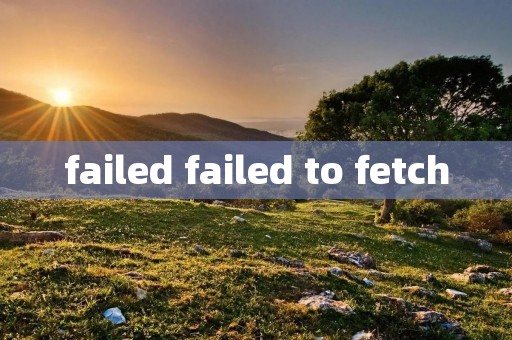failed failed to fetch