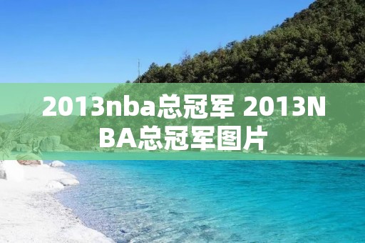 2013nba总冠军 2013NBA总冠军图片
