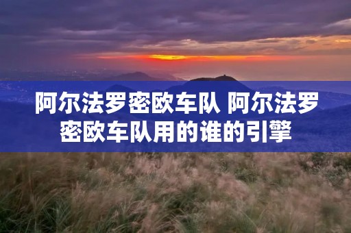 阿尔法罗密欧车队 阿尔法罗密欧车队用的谁的引擎
