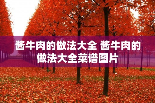 酱牛肉的做法大全 酱牛肉的做法大全菜谱图片