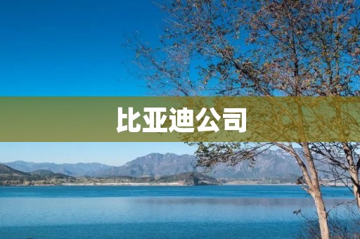 比亚迪公司:创造可持续发展的能源解决方案 比亚迪公司:创造可持续发展的能源解决方案