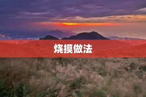 烧摸做法：传统美食的独特魅力