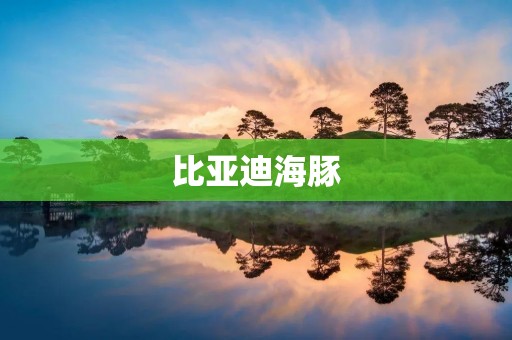 比亚迪海豚:一款时尚实用的城市电动车 比亚迪海豚:一款时尚实用的城市电动车