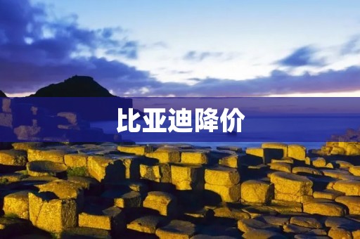 比亚迪降价:为何如此大胆? 比亚迪降价:为何如此大胆?