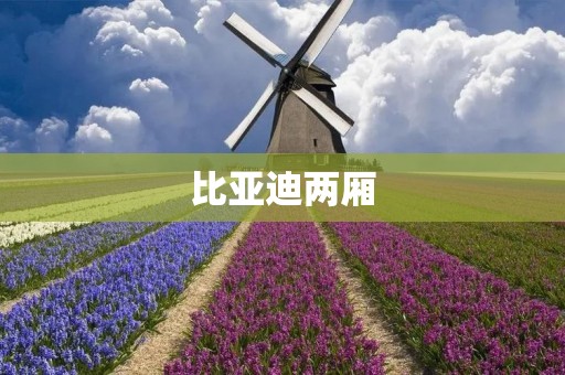 比亚迪两厢:中国品牌中的新生力量 比亚迪两厢:中国品牌中的新生力量
