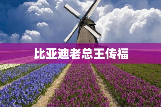 比亚迪老总王传福：从电池制造到造车的创新之路