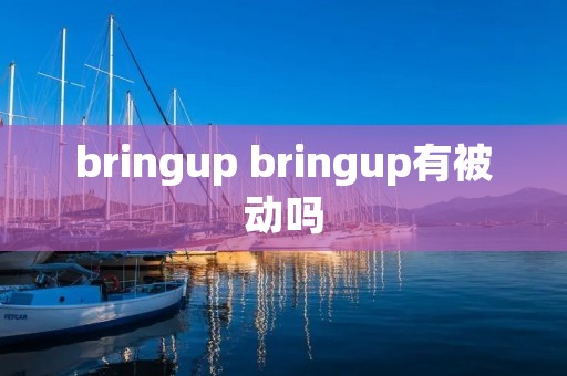 bringup bringup有被动吗