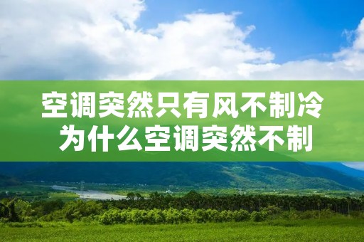 空调突然只有风不制冷 为什么空调突然不制冷了,只有风