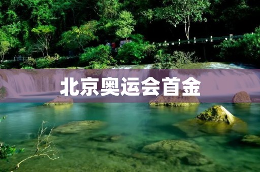北京奥运会首金:中国军团的荣耀时刻 北京奥运会首金:中国军团的荣耀时刻