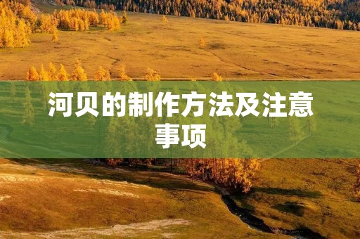 河贝的制作方法及注意事项 河贝的制作方法及注意事项