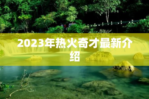 2023年热火奇才最新介绍