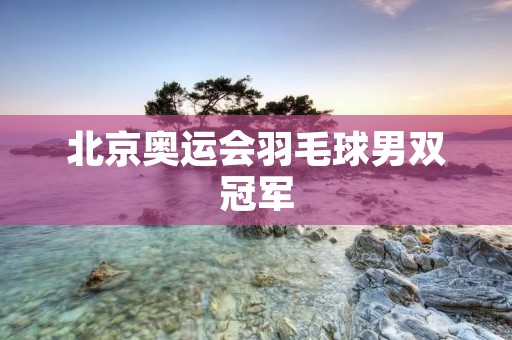 北京奥运会羽毛球男双冠军：福島康太/松友美佐纪