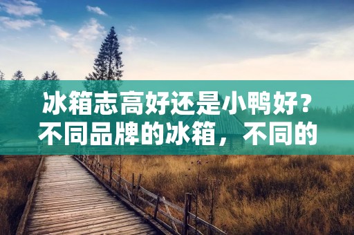 冰箱志高好还是小鸭好？不同品牌的冰箱，不同的功能和价格，让人们很难选择。在这篇文章中，我们将进行一番比较，以便您可以做出明智的购买决策。