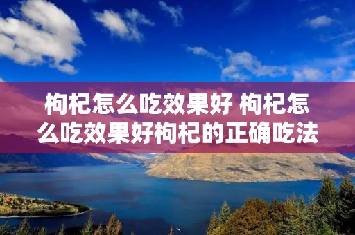 枸杞怎么吃效果好 枸杞怎么吃效果好枸杞的正确吃法