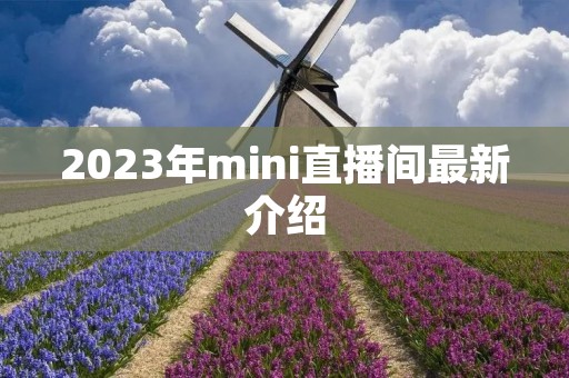 2023年mini直播间最新介绍