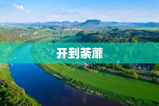 开到荼蘼：一场情感的轮回