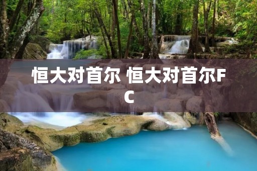 恒大对首尔 恒大对首尔FC 恒大对首尔 恒大对首尔FC