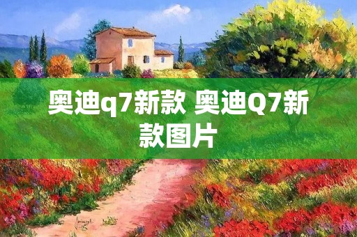 奥迪q7新款 奥迪Q7新款图片