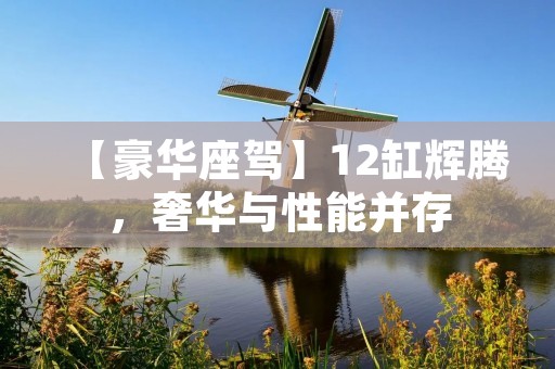 【豪华座驾】12缸辉腾，奢华与性能并存