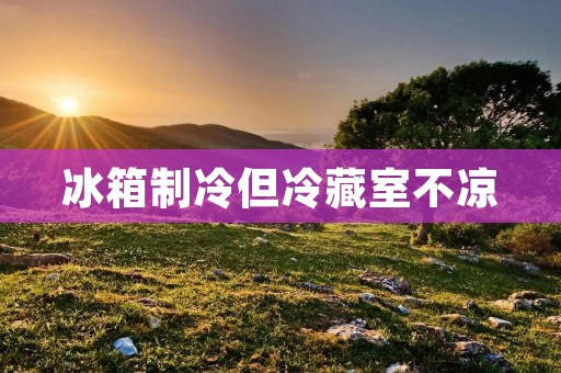 冰箱制冷但冷藏室不凉：原因和解决方法
