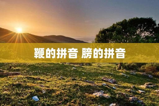 鞭的拼音 膀的拼音
