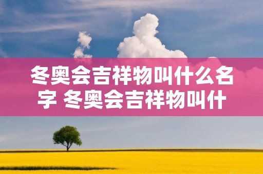 冬奥会吉祥物叫什么名字 冬奥会吉祥物叫什么名字怎么读