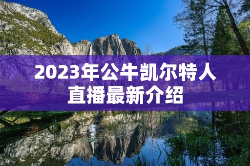 2023年公牛凯尔特人直播最新介绍 2023年公牛凯尔特人直播最新介绍