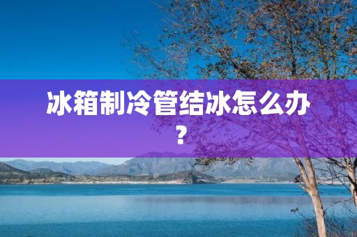 冰箱制冷管结冰怎么办？