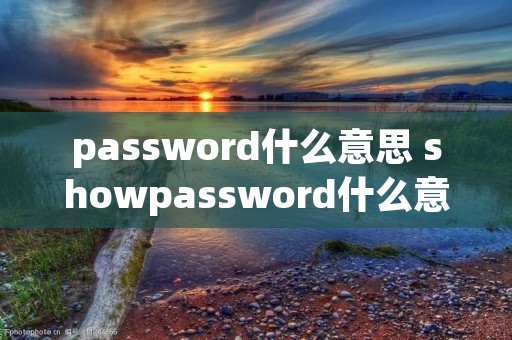 password什么意思 showpassword什么意思