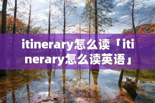 itinerary怎么读「itinerary怎么读英语」
