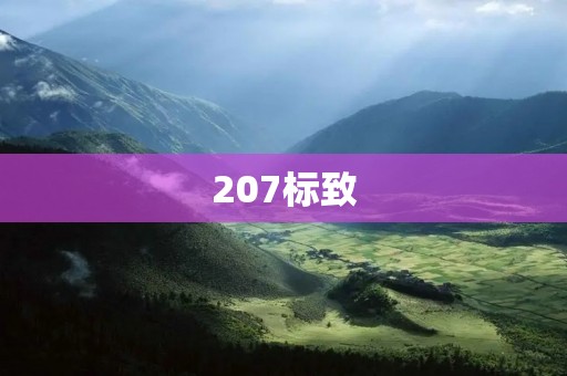 207标致:经典之作 207标致:经典之作