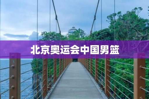 北京奥运会中国男篮：历程、成就与遗憾