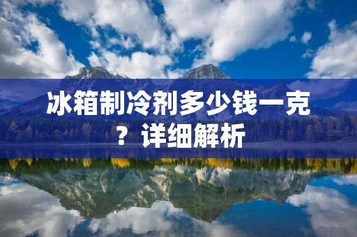 冰箱制冷剂多少钱一克？详细解析