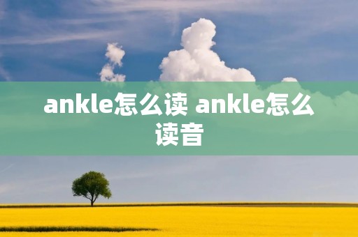 ankle怎么读 ankle怎么读音
